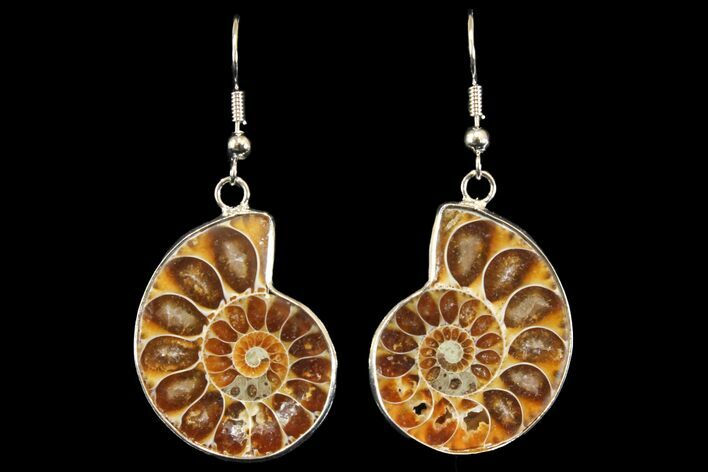 Fossil Ammonite Earrings - Million Years Old #142855